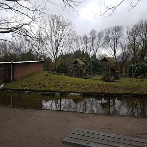 Enclosure Black-capped capuchin - Capybara
