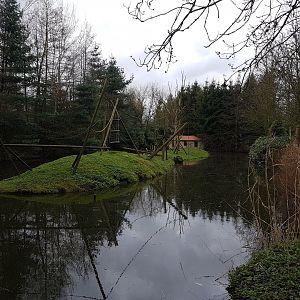 White-handed gibbon island