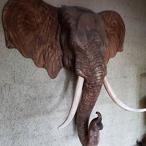 Elephant-head