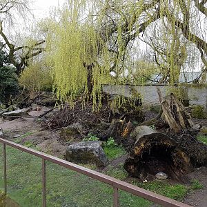 Prairie dog enclosure