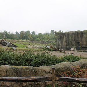 Polar bear enclosure
