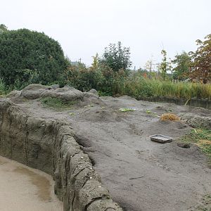 Part Prairie dog-enclosure