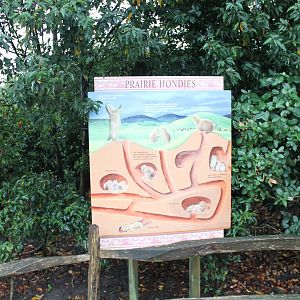 Prairie dog-info sign