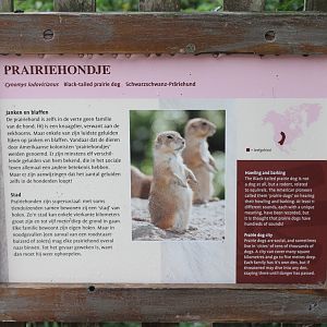 Sign Prairie dog