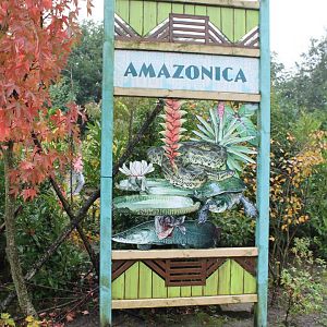 Sign Amazonica