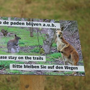 Sign Kangaroo-walk-through