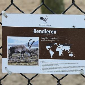 Sign Reindeer