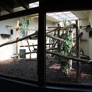 Indoor Lemur-enclosure