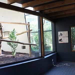 Indoor Lemur-enclosure