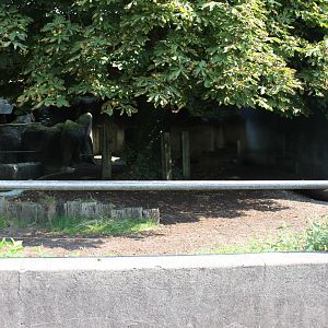 Lowland tapir enclosure