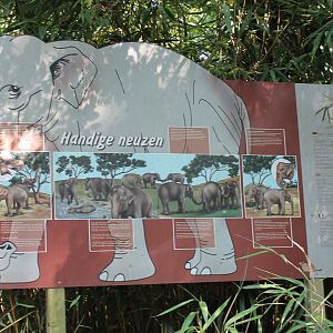 Elephant-info-sign