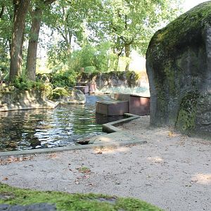 Enclosure Ringed seal