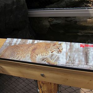 Bobcat signage