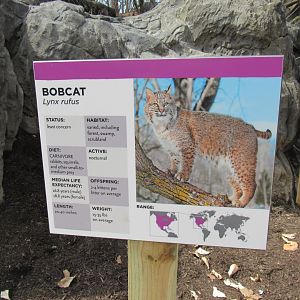Bobcat signage