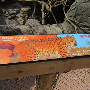 Bobcat signage
