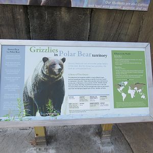 Grizzly bear signage
