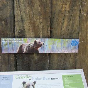 Grizzly bear signage