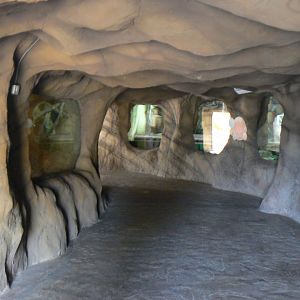 View of Reptile River - 23 Macrh 2017