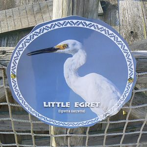 Example of Signage - 23 March 2017