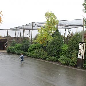 South American Aviaries