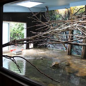 Indoor-area South-american Walk-through