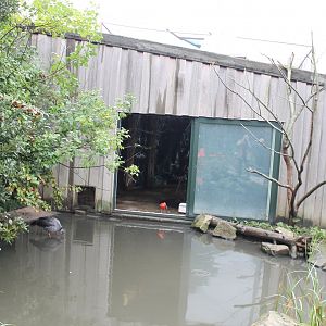View at indoor-enclosure