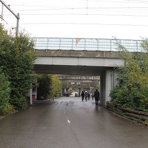 Railway-bridge through the Zoo