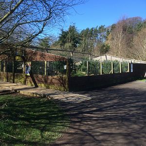 Scottish wildcat enclosure