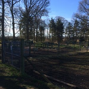 Looking back over the wolf enclosure