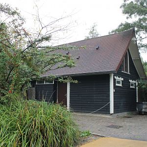Typical Blijdorp-stable