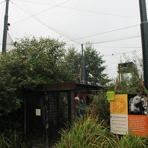 Entrance African Walk-through Aviary