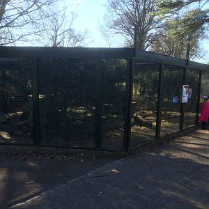 Scottish wildcat enclosure