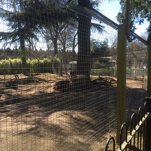 Wolf enclosure