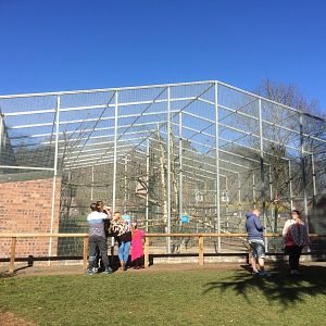 Hyacinth macaw aviary