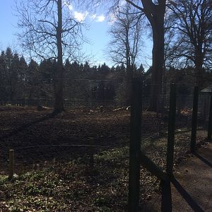 Visayan warty pig enclosure