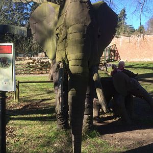 African elephant statue
