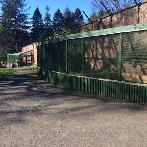 Enclosures under refurbishment.