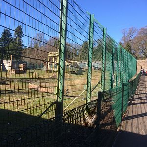 Leading up to the brown bear enclosure