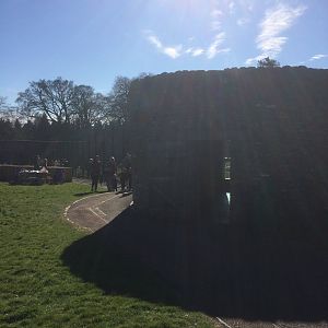 Bear tower viewing area