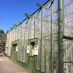 Marmoset & tamarin enclosures