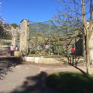 Enclosure under refurbishment