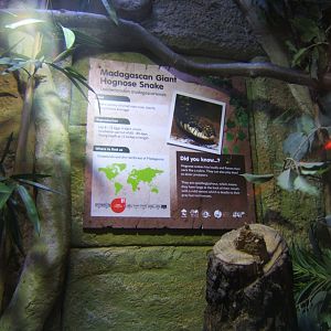 18/3/2017 Signage style