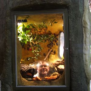 18/3/2017 Just no need