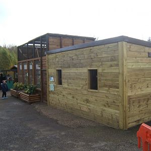 18/3/2017 View of Common Squirrel Monkey enclosure