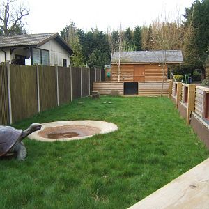 18/3/2017 View of Tortoise enclosure