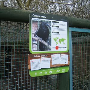 18/3/2017 Signage style