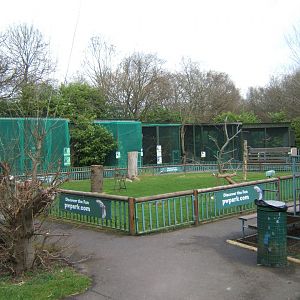 18/3/2017 View of flying area