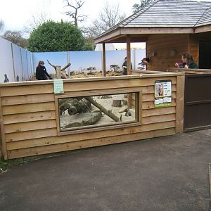 18/3/2017 View of a different Meerkat enclosure
