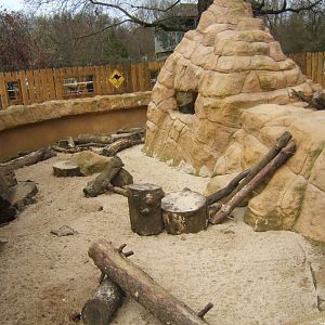 18/3/2017 View of yes a third Meerkat exhibit