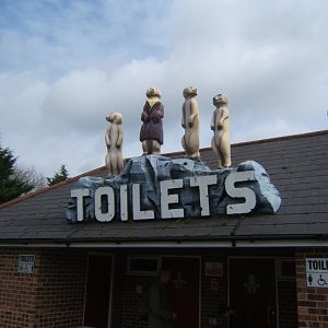 18/3/2017 Just why!!!!